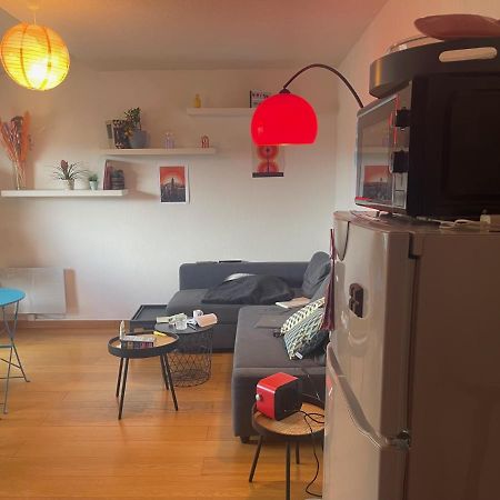 Appartement Au Centre Ville De Toulouse Dış mekan fotoğraf