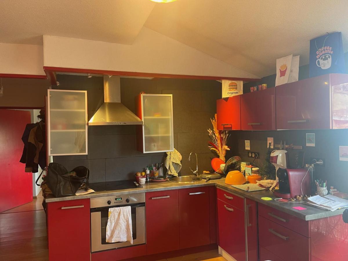 Appartement Au Centre Ville De Toulouse Dış mekan fotoğraf