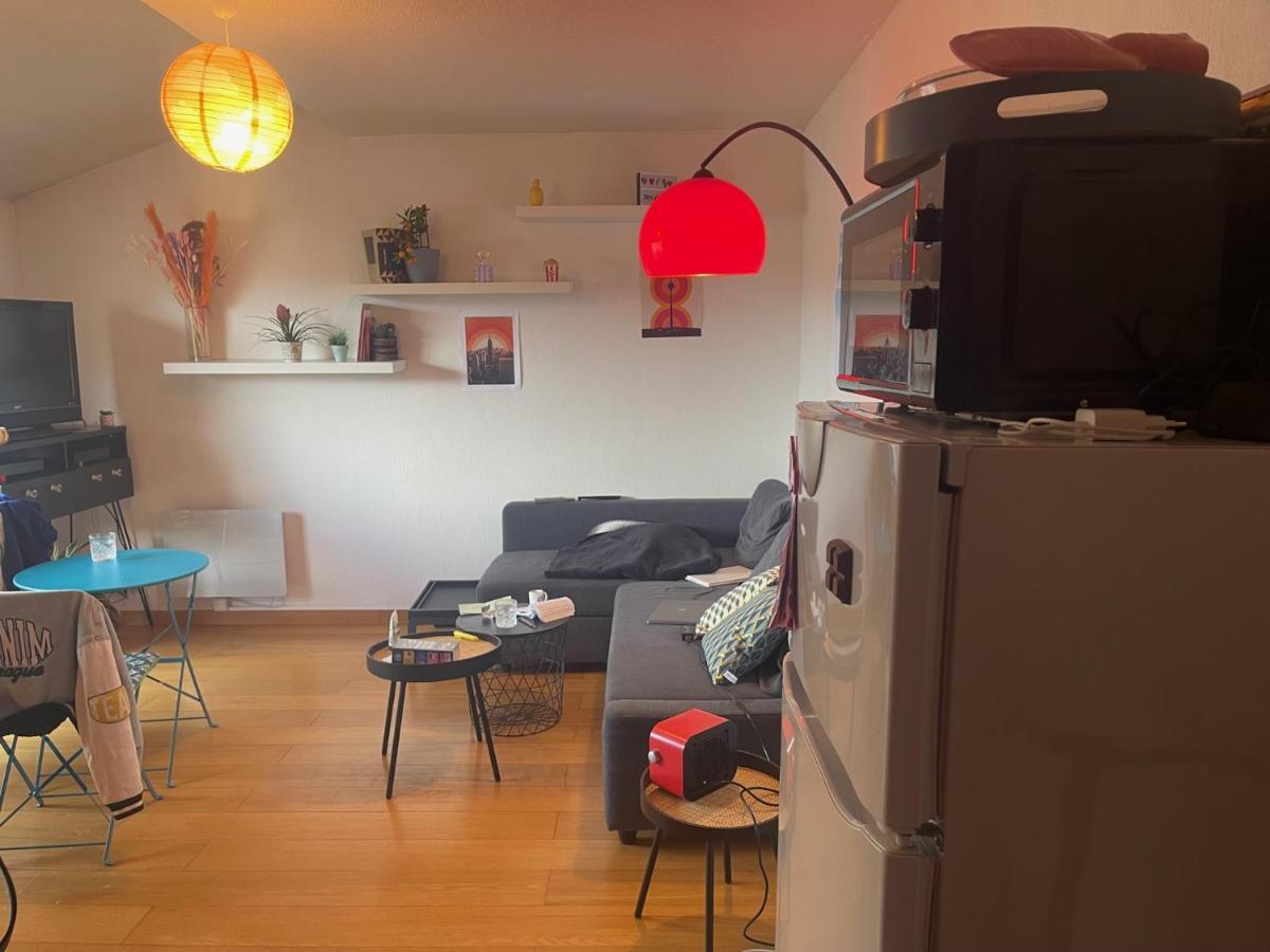Appartement Au Centre Ville De Toulouse Dış mekan fotoğraf
